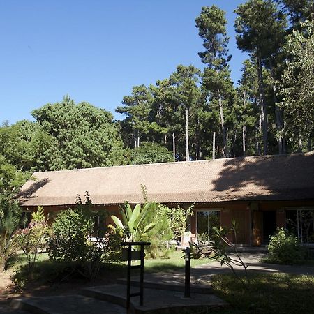 Hotel Lodge Au Bois Vert Antananarivo International Airport Ивато Экстерьер фото